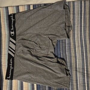 Champion Boxer Brief